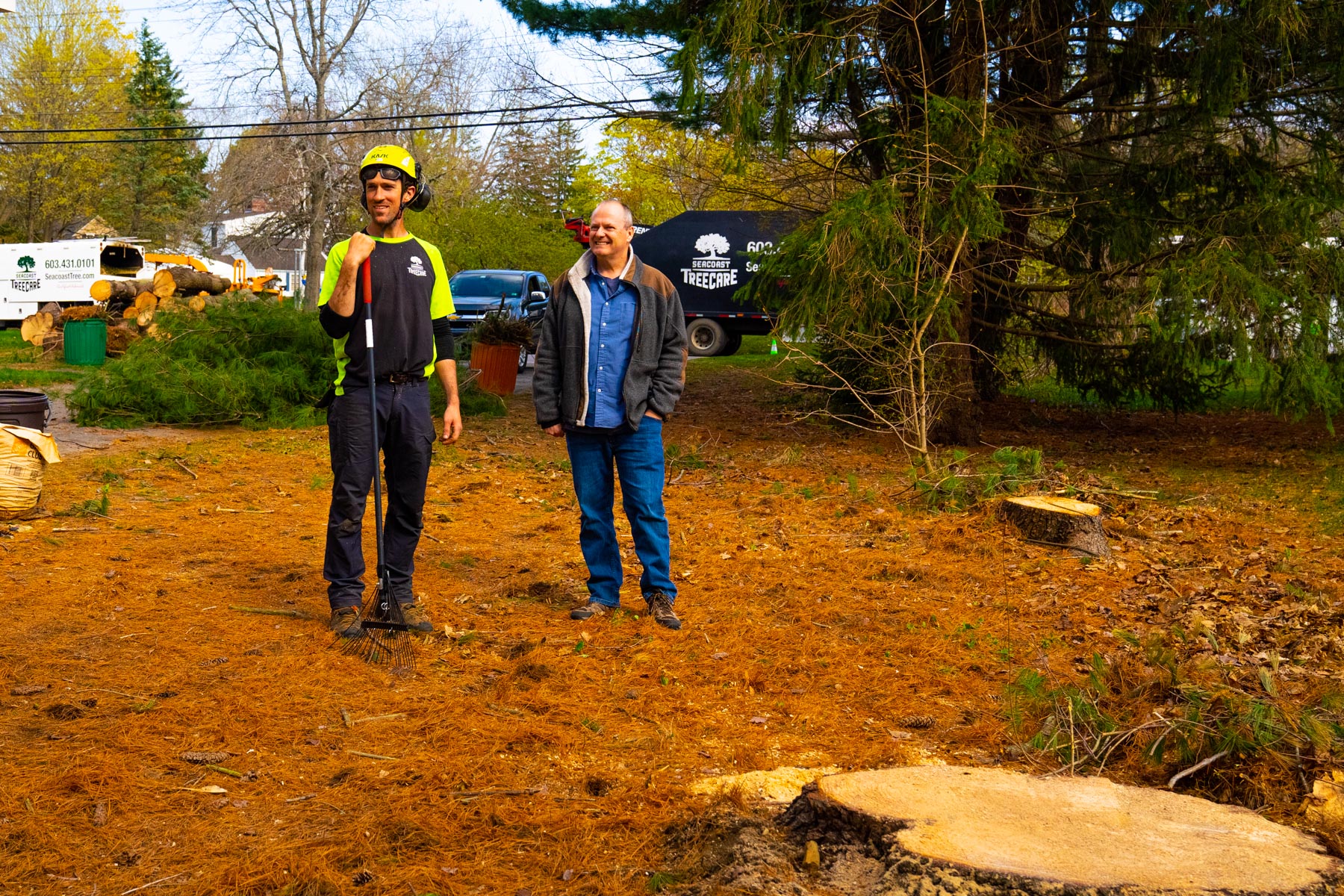 How Much Does Tree Stump Removal Cost in New Hampshire?